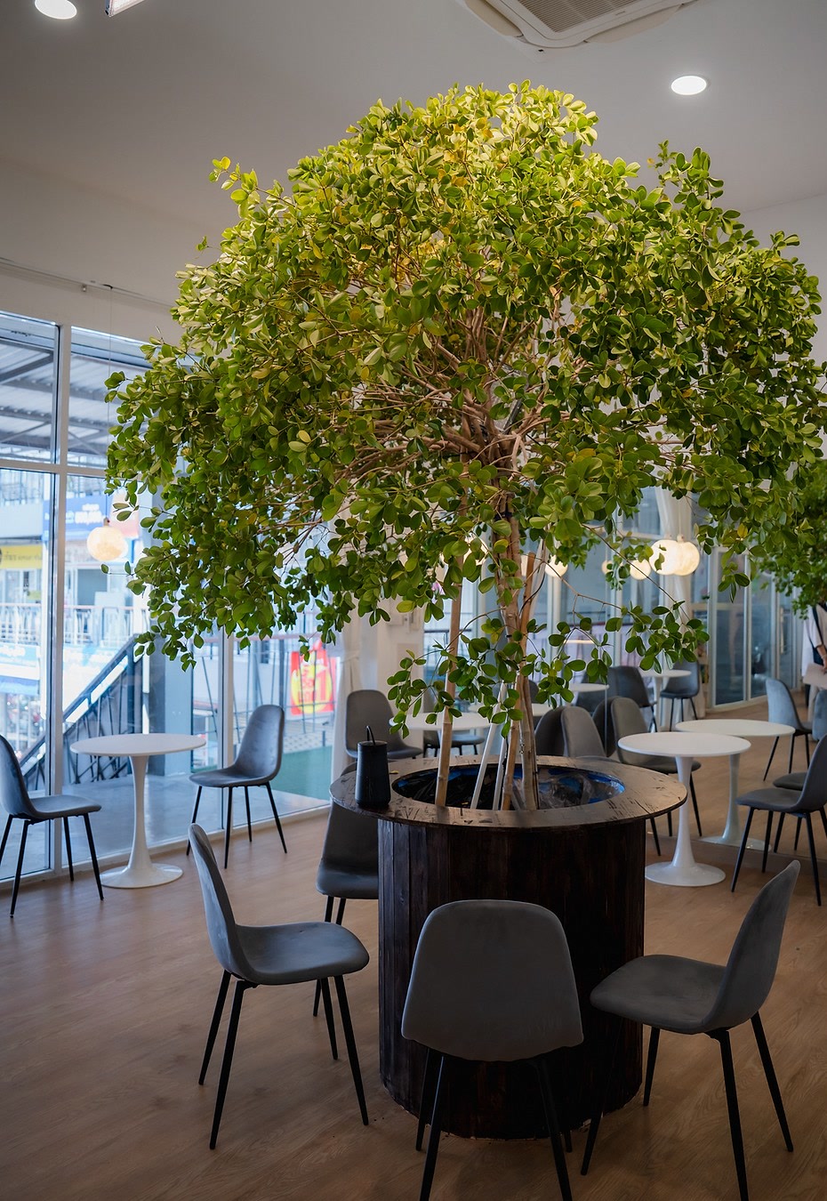 Inside GROOT Coffee & Bistro